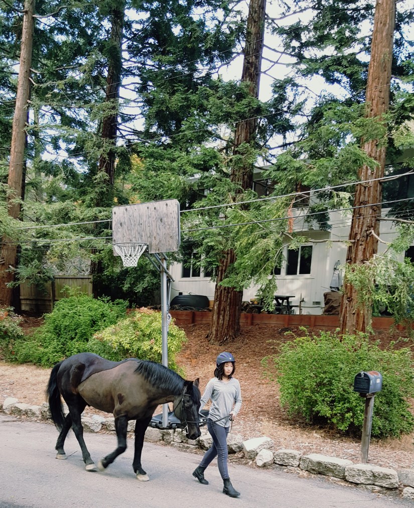 walking with Shadow.jpg